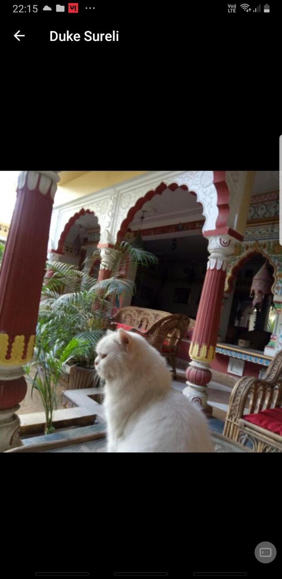 Sureli Haveli Apartment Джайпур Стая снимка